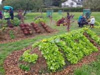 Zur Kirta-So geht Gemüseanbau.jpg