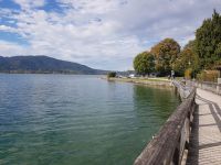 Ufer am Tegernsee.jpg
