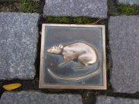 DSCN8233.JPG   Rattentour