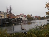 DSCN8353.JPG   Havel