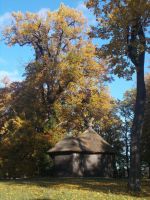 DSCN8398.JPG   Küche im Park