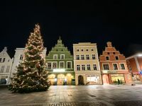 Marktplatz von Güstrow mit riesigem Weihnachtsbaum
