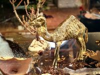 Güldenes Kamel, Krippenfigur aus dem Orient im Krippenmuseum in Güstrow