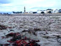 Panorama von Warnemünde