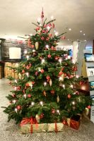 Im Foyer des Neptun Hotel in Warnemünde