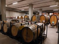 Schloss Wackerbarth: Im Reiferaum für den Sektausbau