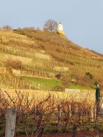 Schloss Wackerbarth: Abschiedsblick auf den Weinberg 
