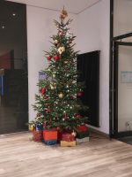 Dresden - Check In ins Intercity Hotel