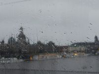 Dresden: Stadtrundfahrt Elbquerung -  Regen pur