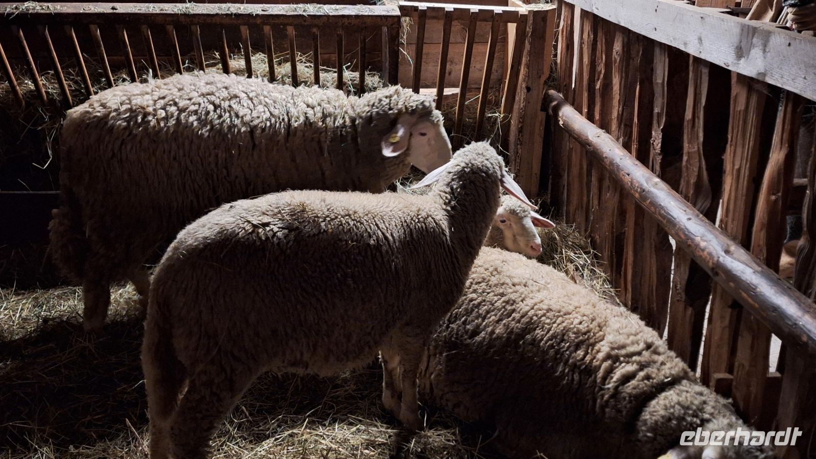 Sixenhof in Achental