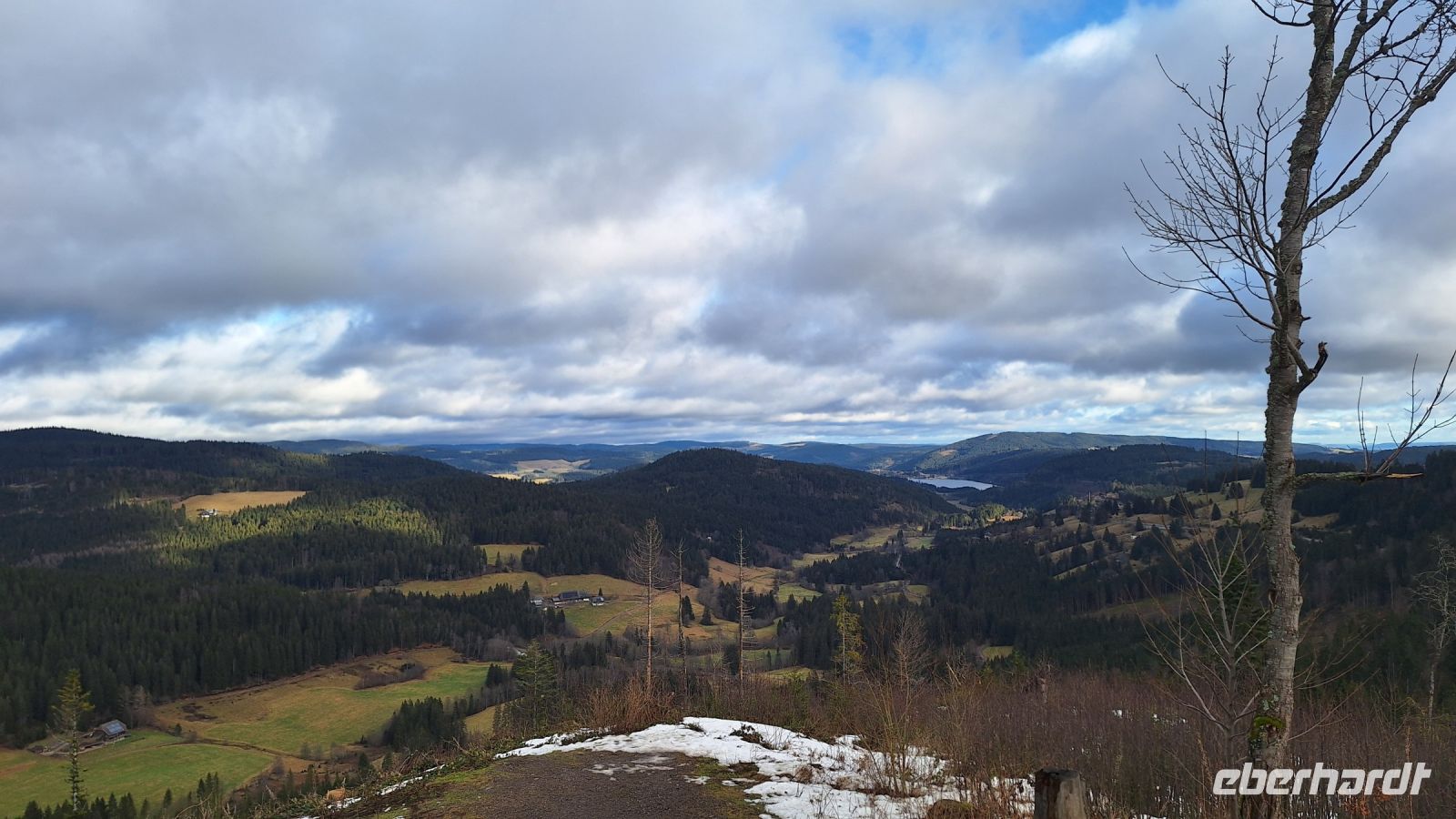 Blick auf den Titisee