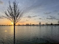 Tag 2 - Sonnenaufgang über der Aller