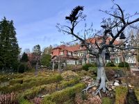 Tag 2 - Ebereschen-Eisen-Glocken-Bau