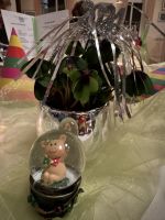 Tag 3 - Silvesterabend