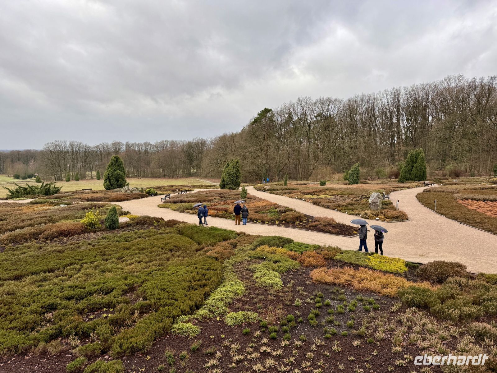 Tag 4 - Heidegarten in Schneverdingen 