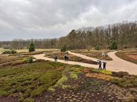 Tag 4 - Heidegarten in Schneverdingen 