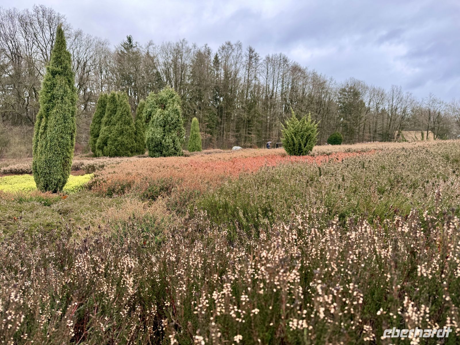 Tag 4 - Heidegarten in Schneverdingen 