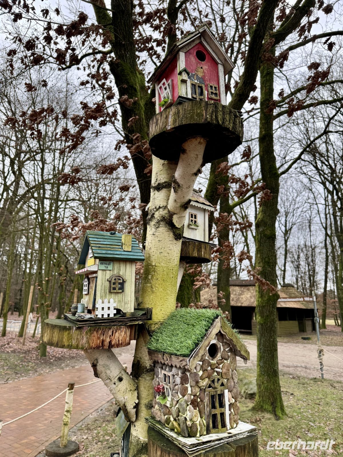 Tag 4 - Heidegarten in Schneverdingen 