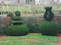 Dornburger Schlösser und Gärten