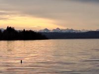 Promenaden-Blick Ammersee