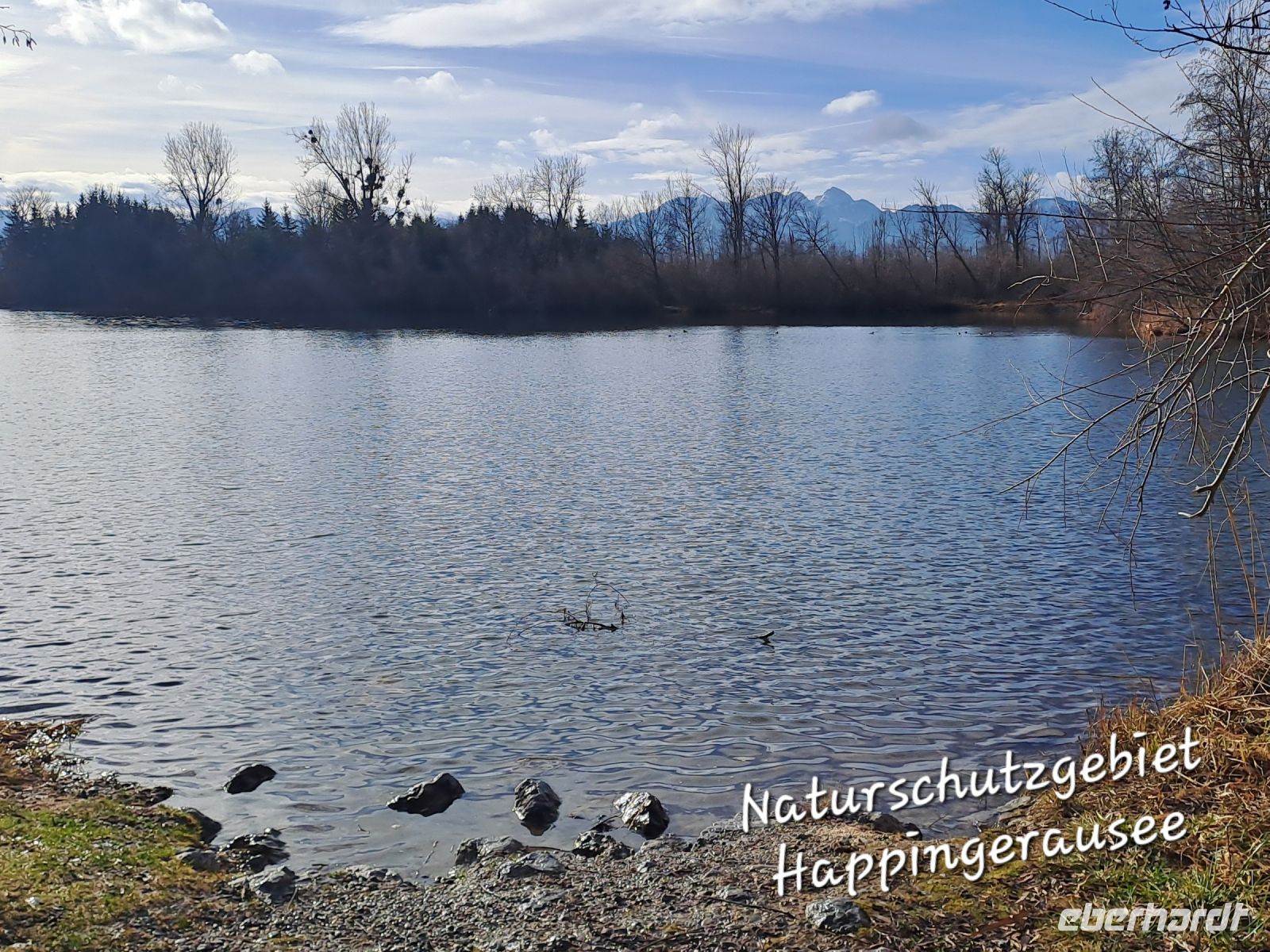 Naturschutzgebiet - Happingerauesee