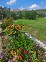 Im Schlosspark Sanssouci