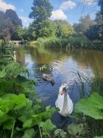 Im Schlosspark Sanssouci
