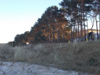 DSCN8435.JPG   Dünen