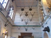 DSCN8469.JPG   Jagdschloss Granitz