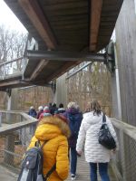 DSCN8581.JPG    Baumwipfelpfad Binz