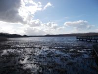 DSCN8600.JPG    Schmachter See in Binz