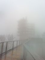 Tag 2 Baumwipfelpfad im Nebel Saarschleife Orscholz