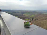 Tag 4 Aussicht vom Schaumbergturm Tholey