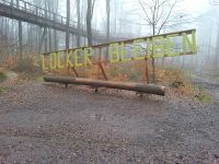 Tag 2 Motivation am Baumwipfelpfad Saarschleife