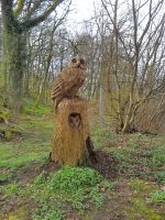 Tag 4 Holzschnitzerei auf dem Schaumberg Tholey