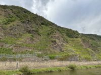 steile Weinberge entlang der Mosel