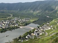 Panoramafahrt entlang der Mosel