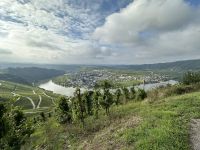 Panoramafahrt entlang der Mosel