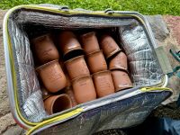 Mehring - Villa Rustica - Mulsumverkostung