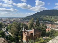 Blick vom Heidelberger Schloss