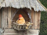 Ludwigsburg - weltgrößte Kürbisausstellung - das blühende Barock