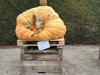 Ludwigsburg - weltgrößte Kürbisausstellung - das blühende Barock