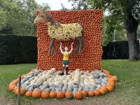 Ludwigsburg - weltgrößte Kürbisausstellung - das blühende Barock