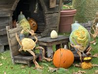 Ludwigsburg - weltgrößte Kürbisausstellung - das blühende Barock