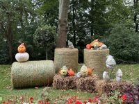 Ludwigsburg - weltgrößte Kürbisausstellung - das blühende Barock