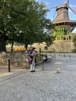  Sanssouci, Potsdam, Deutschland