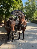 Kutsche, Kloster, Hiddensee, Deutschland