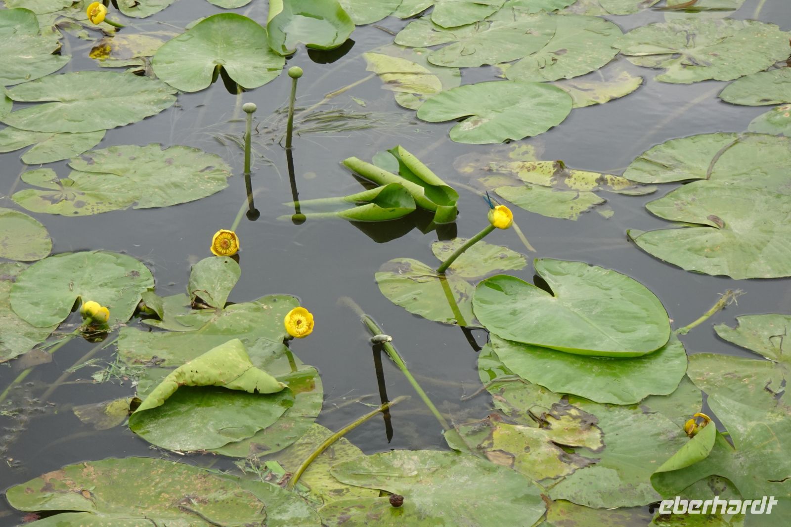 Tag 2 16.09.2024 Schengen