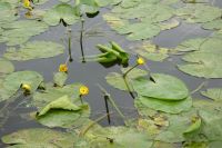 Tag 2 16.09.2024 Schengen