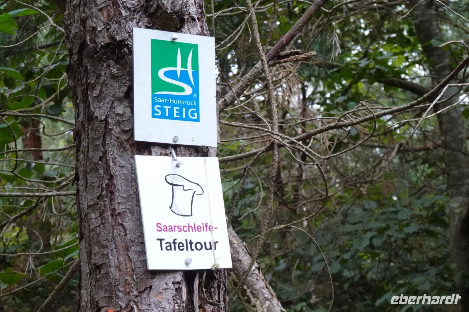 Tag 2 16.09.2024 Wanderung rund um die Saarschleife 